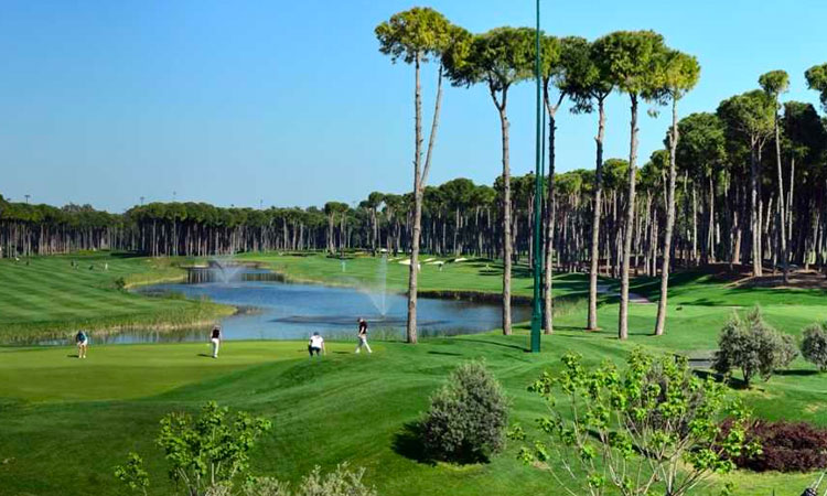 Cours de golf