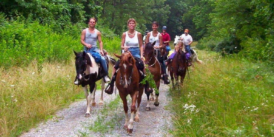 Randonnée équestre près de Fethiye