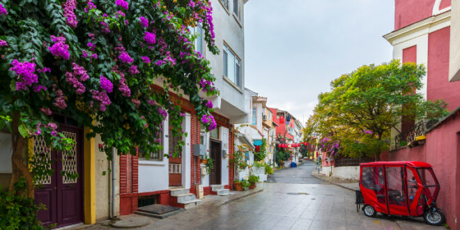 Excursion Îles aux Princes Istanbul prix