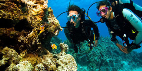 Plongée Bodrum Tour