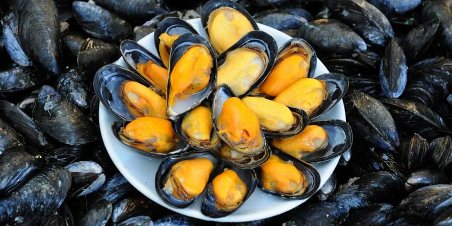 midye dolma