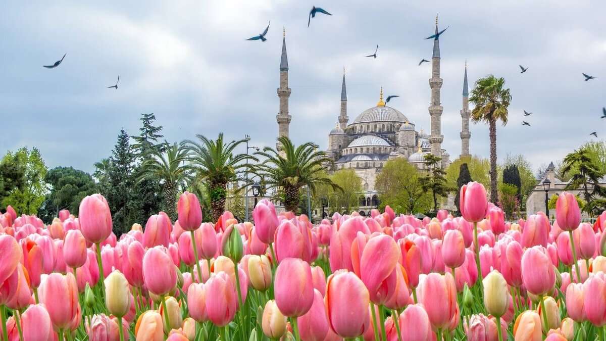 la fêtes de Tulipe Istanbul