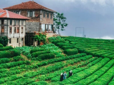 Trésors de la Mer Noire (Trabzon, Rize, Artvin, Batumi)