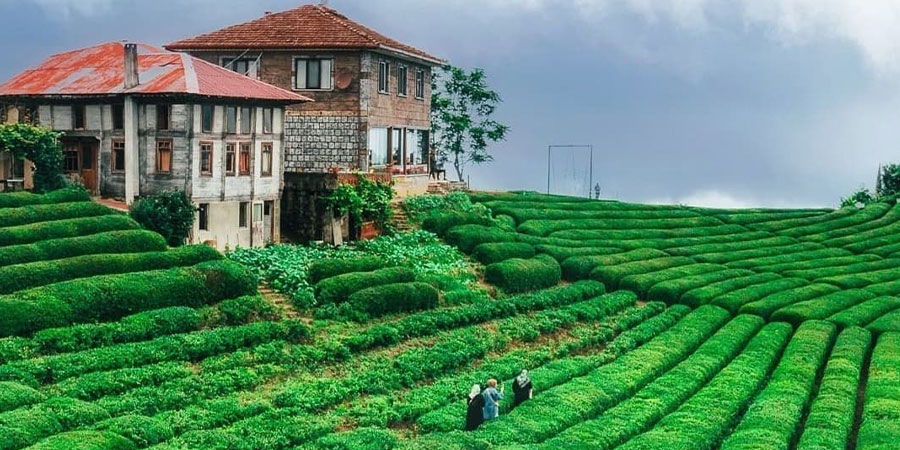 Trésors de la Mer Noire (Trabzon, Rize, Artvin, Batumi)