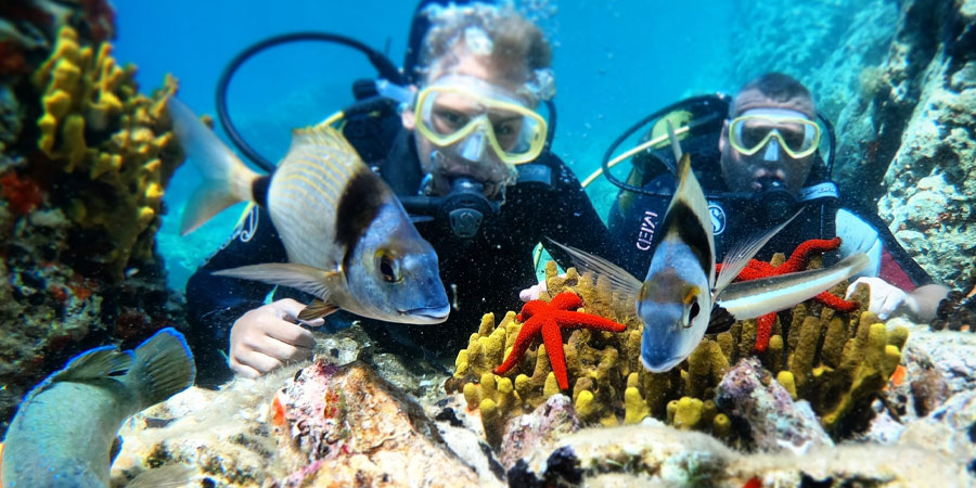 Voyage Aventure Plongée en Turquie en Égée
